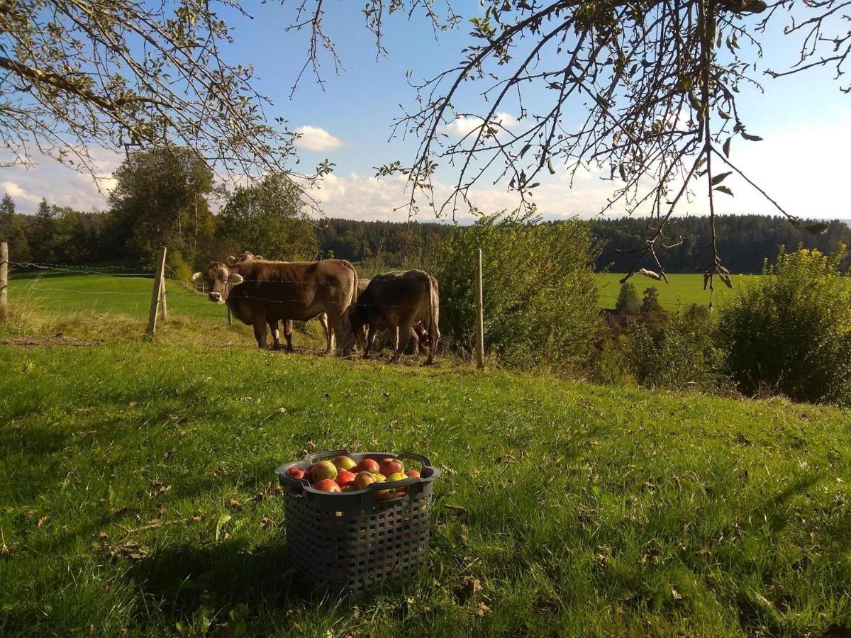 Gemütliches Ferienzimmer Trifts Wangen im Allgäu Exterior foto